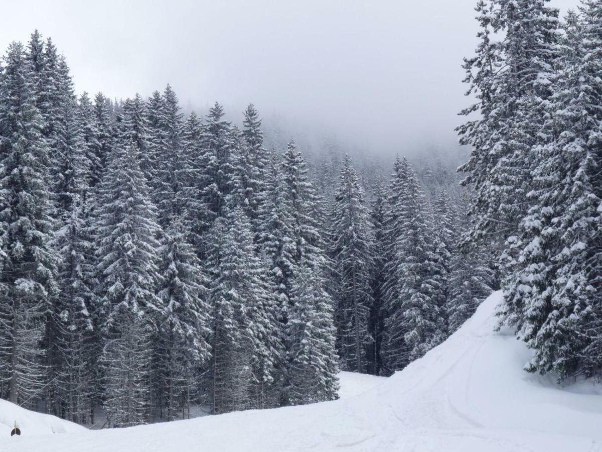 G-Apartment, New Inn, 2-Rooms Bansko Luaran gambar